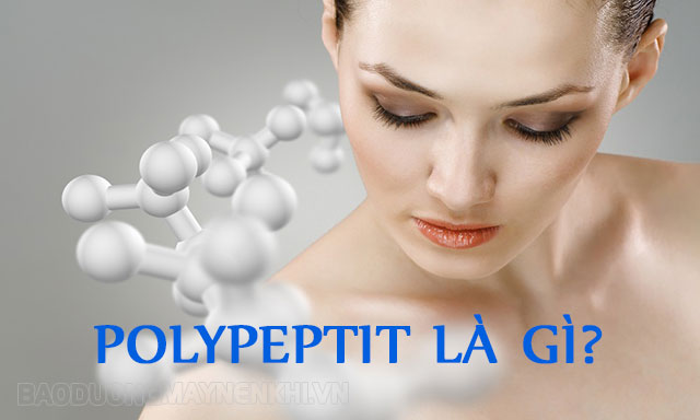 Polipeptit là chuỗi axit amin ngắn sắp xếp theo trật tự nhất định