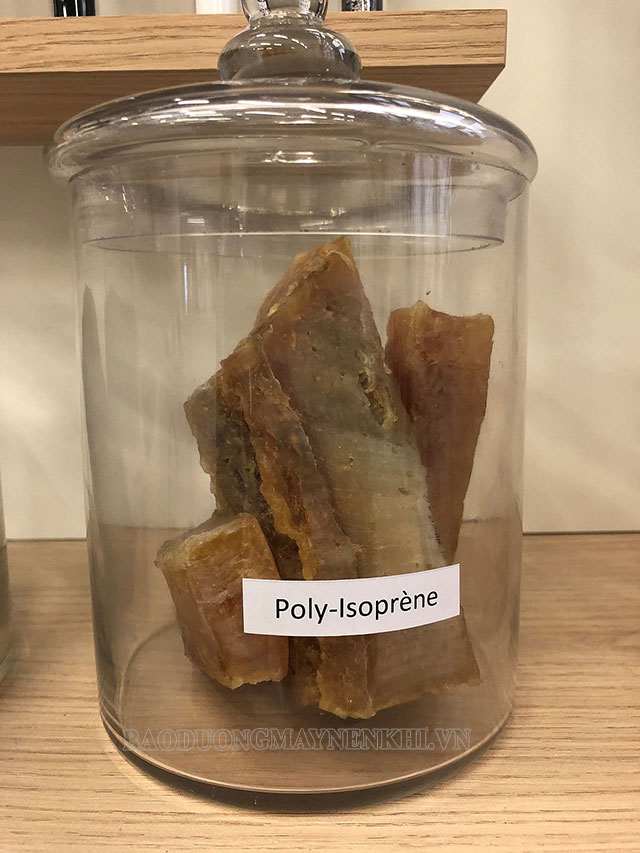 Polyisopren là loại polyme được tạo ra từ phản ứng trùng hợp của Isopren