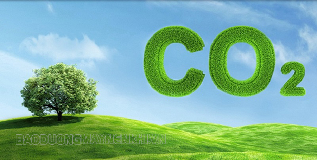 Nếu CO2 trong môi trường với hàm lượng cao khiến cho quá trình hô hấp cây bị ức chế
